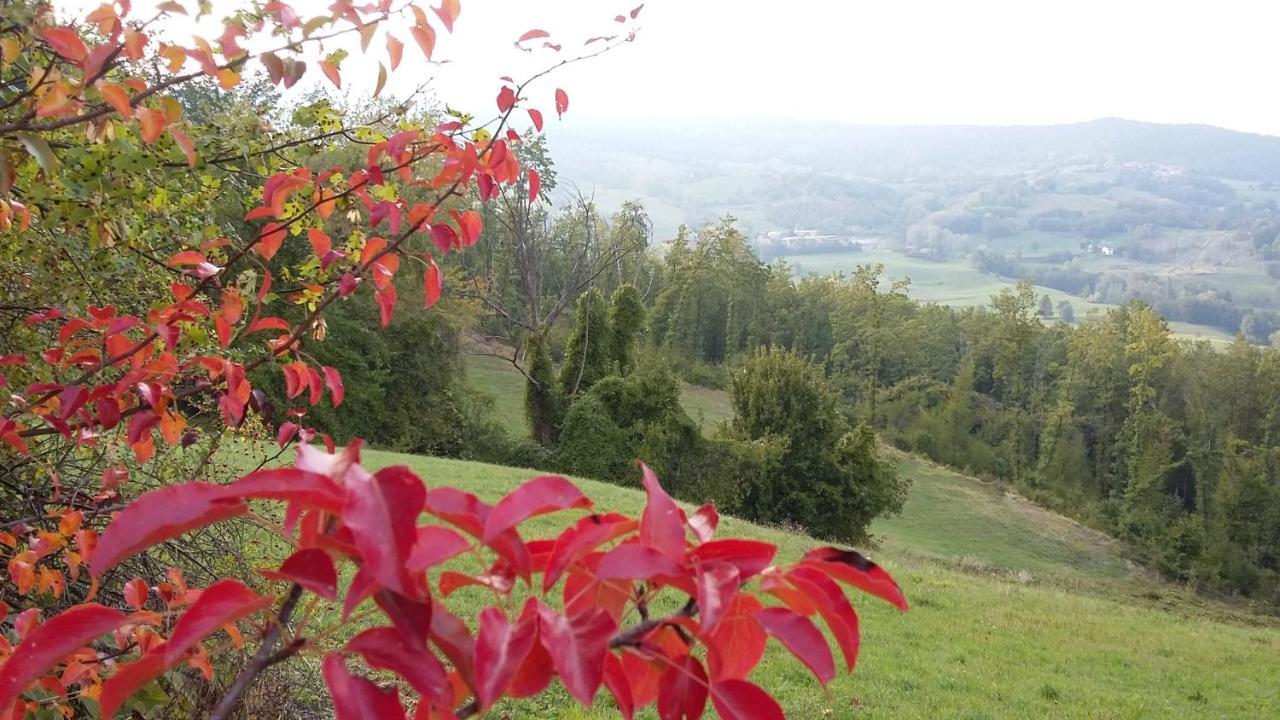 Uno Chalet Nel Bosco Villa Lama Mocogno Luaran gambar
